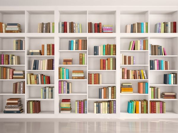 Bookshelf Assembly in Kennesaw